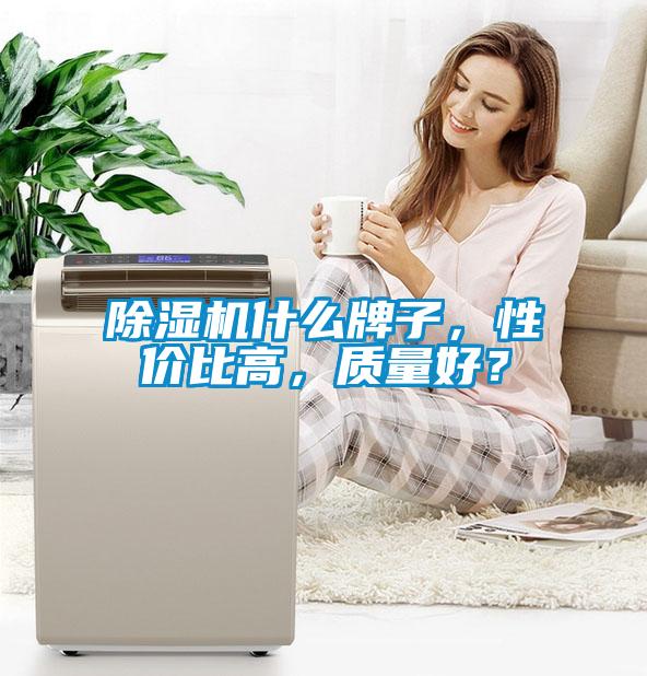 除濕機(jī)什么牌子，性價比高，質(zhì)量好？