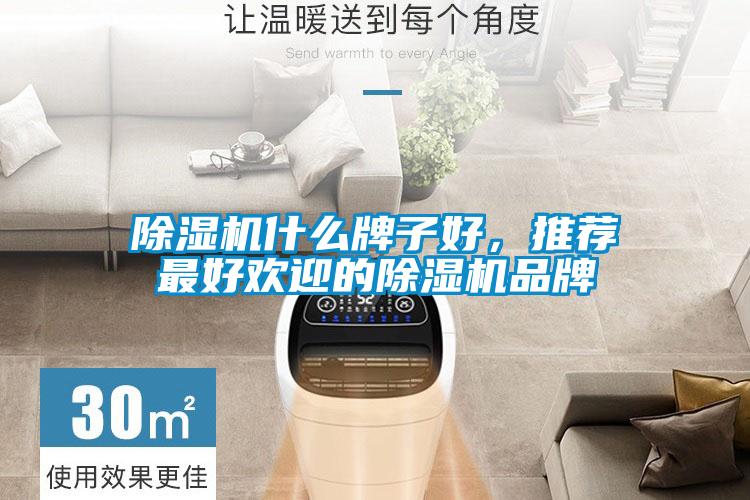 除濕機(jī)什么牌子好，推薦最好歡迎的除濕機(jī)品牌