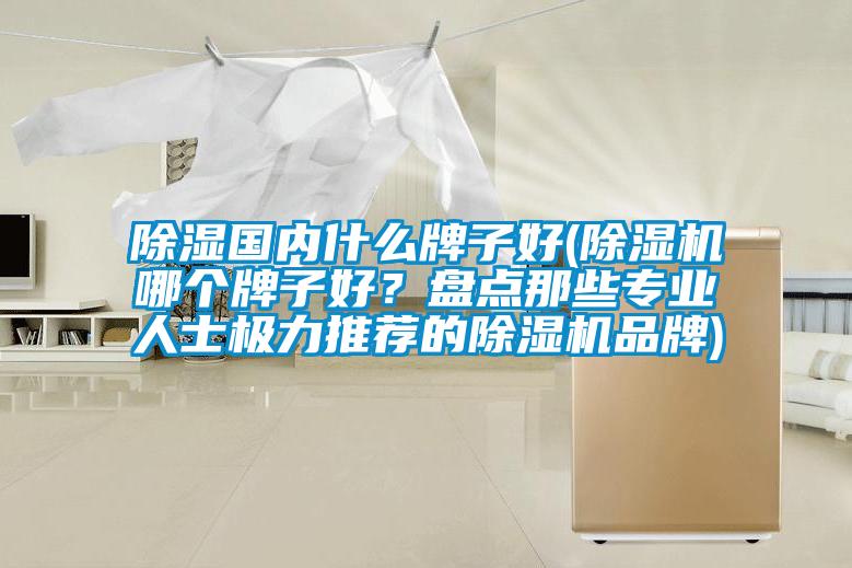 除濕國(guó)內(nèi)什么牌子好(除濕機(jī)哪個(gè)牌子好？盤(pán)點(diǎn)那些專業(yè)人士極力推薦的除濕機(jī)品牌)