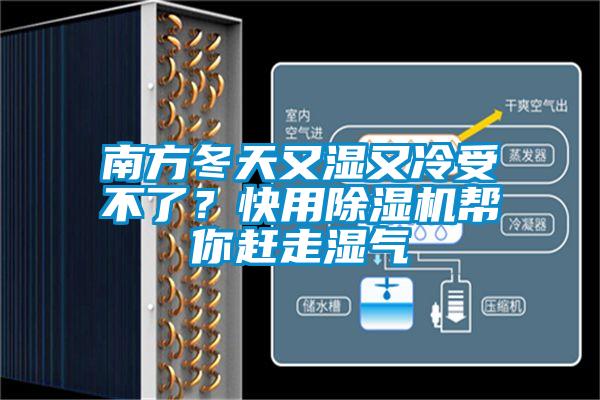 南方冬天又濕又冷受不了？快用除濕機(jī)幫你趕走濕氣