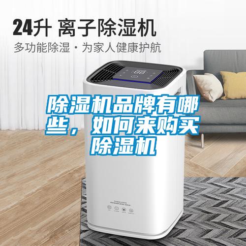 除濕機(jī)品牌有哪些，如何來(lái)購(gòu)買除濕機(jī)