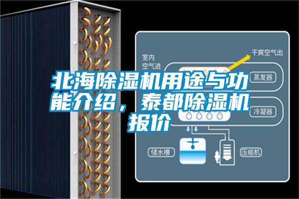 北海除濕機用途與功能介紹，泰都除濕機報價