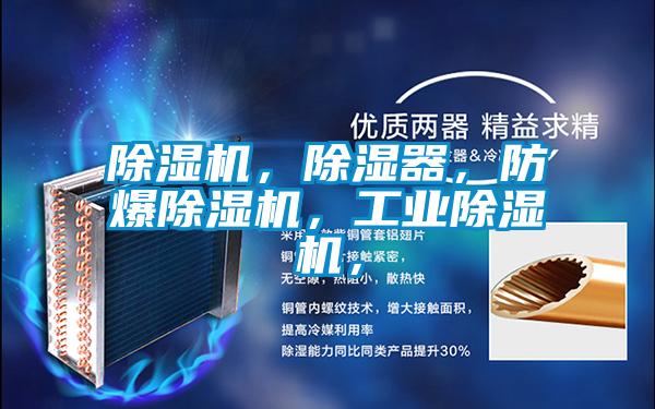 除濕機(jī)，除濕器，防爆除濕機(jī)，工業(yè)除濕機(jī)，