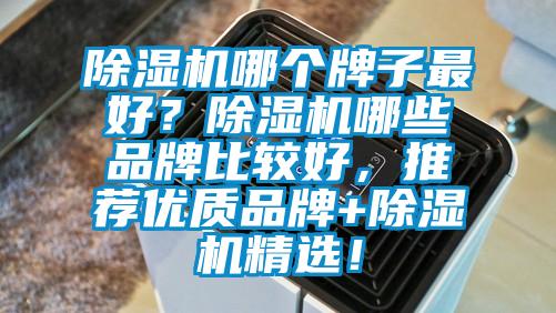 除濕機哪個牌子最好？除濕機哪些品牌比較好，推薦優(yōu)質(zhì)品牌+除濕機精選！