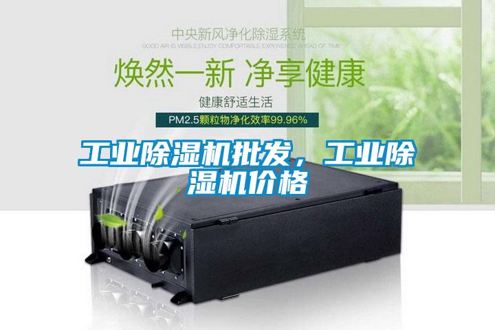 工業(yè)除濕機批發(fā)，工業(yè)除濕機價格