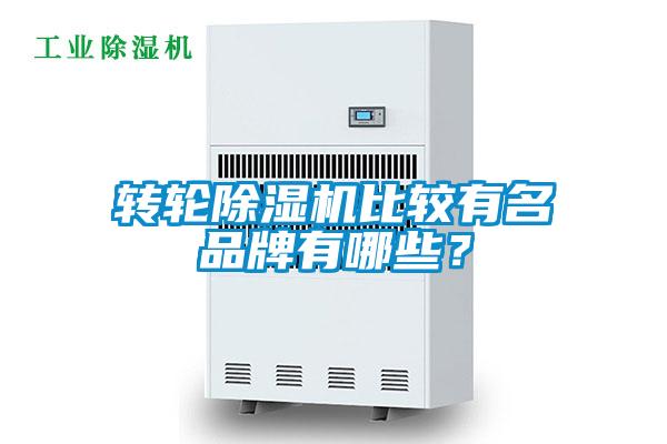 轉(zhuǎn)輪除濕機比較有名品牌有哪些？