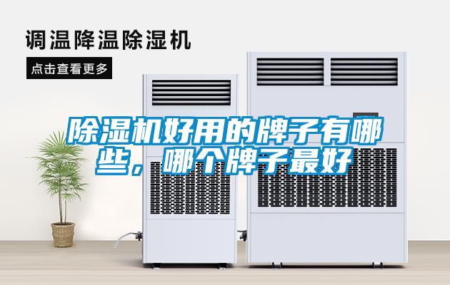 除濕機(jī)好用的牌子有哪些，哪個(gè)牌子最好