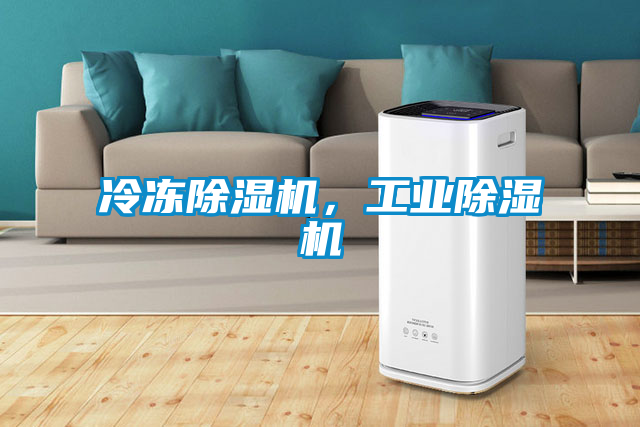 冷凍除濕機，工業(yè)除濕機