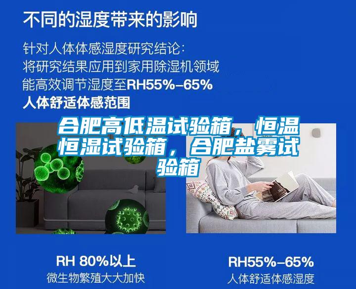 合肥高低溫試驗(yàn)箱，恒溫恒濕試驗(yàn)箱，合肥鹽霧試驗(yàn)箱