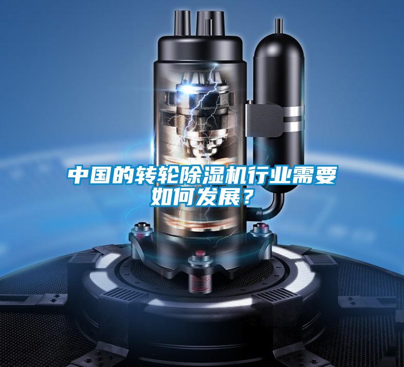 中國的轉(zhuǎn)輪除濕機行業(yè)需要如何發(fā)展？