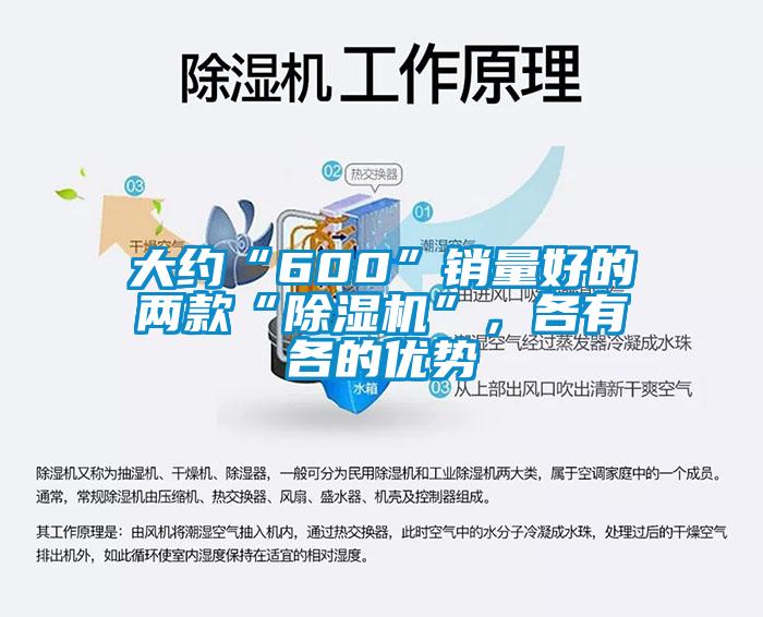 大約“600”銷量好的兩款“除濕機(jī)”，各有各的優(yōu)勢