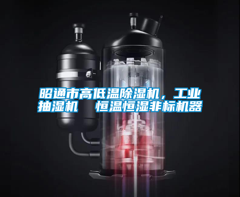 昭通市高低溫除濕機(jī)，工業(yè)抽濕機(jī)  恒溫恒濕非標(biāo)機(jī)器