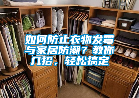 如何防止衣物發(fā)霉與家居防潮？教你幾招，輕松搞定