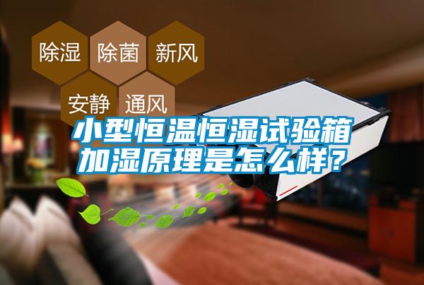 小型恒溫恒濕試驗箱加濕原理是怎么樣？