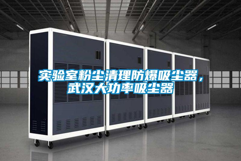 實驗室粉塵清理防爆吸塵器，武漢大功率吸塵器