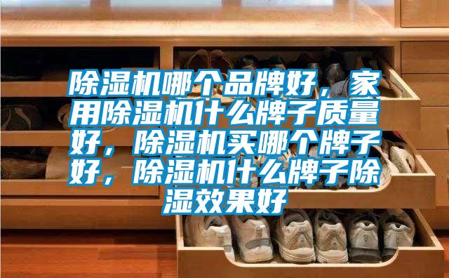 除濕機哪個品牌好，家用除濕機什么牌子質(zhì)量好，除濕機買哪個牌子好，除濕機什么牌子除濕效果好