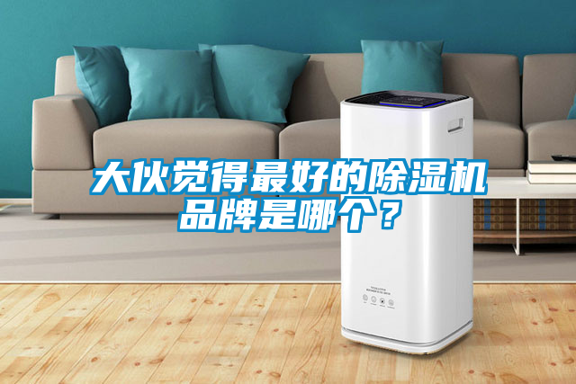 大伙覺得最好的除濕機(jī)品牌是哪個(gè)？
