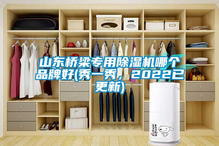 山東橋梁專用除濕機哪個品牌好(秀一秀，2022已更新)