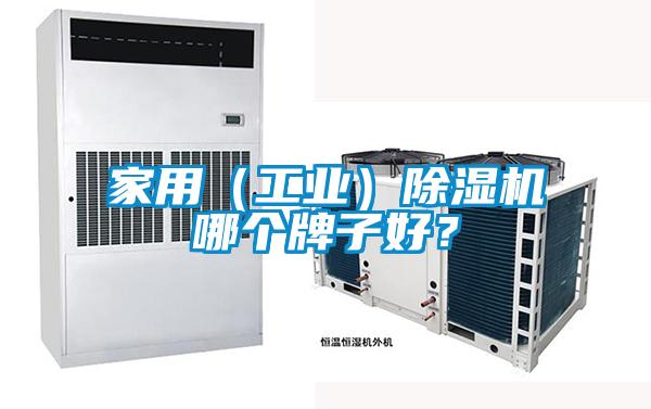 家用（工業(yè)）除濕機(jī)哪個牌子好？