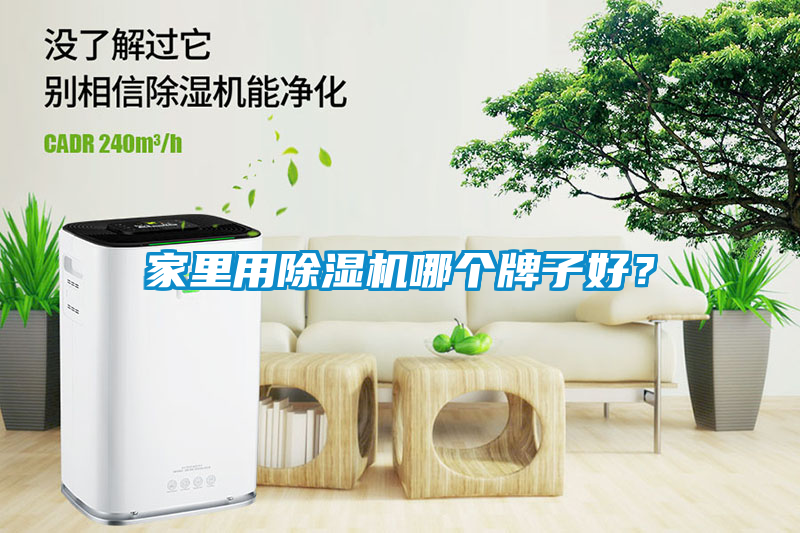 家里用除濕機哪個牌子好？
