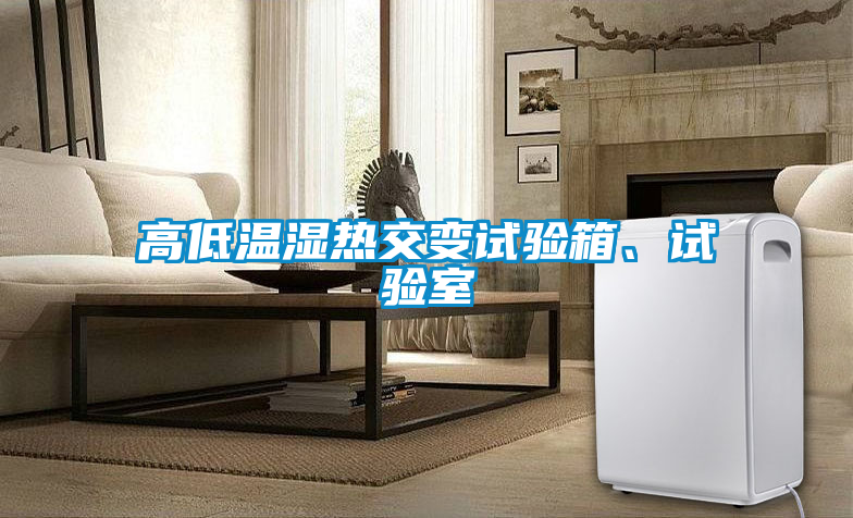 高低溫濕熱交變?cè)囼?yàn)箱、試驗(yàn)室