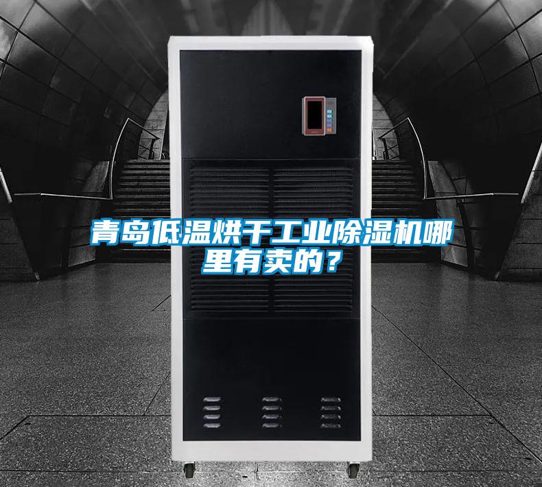 青島低溫烘干工業(yè)除濕機(jī)哪里有賣的？