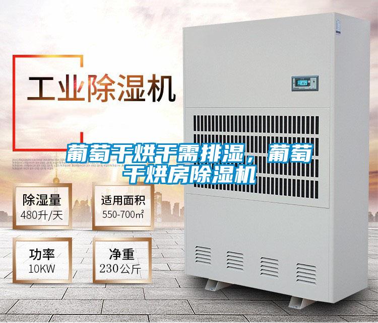 葡萄干烘干需排濕，葡萄干烘房除濕機(jī)