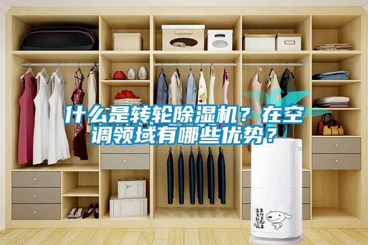什么是轉(zhuǎn)輪除濕機(jī)？在空調(diào)領(lǐng)域有哪些優(yōu)勢？