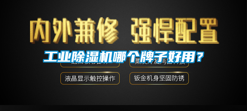 工業(yè)除濕機哪個牌子好用？