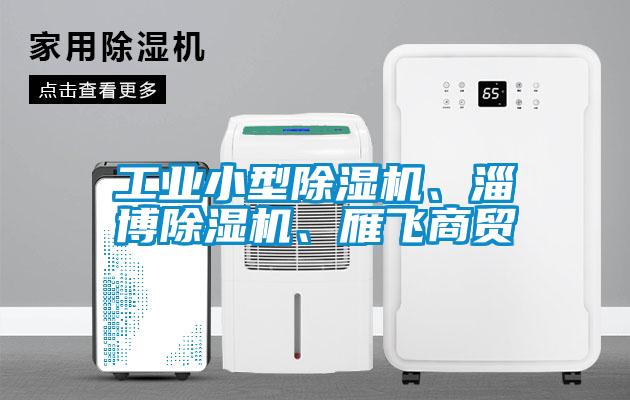 工業(yè)小型除濕機(jī)、淄博除濕機(jī)、雁飛商貿(mào)
