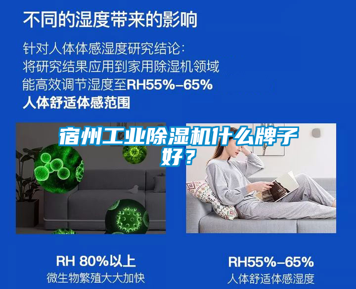 宿州工業(yè)除濕機什么牌子好？