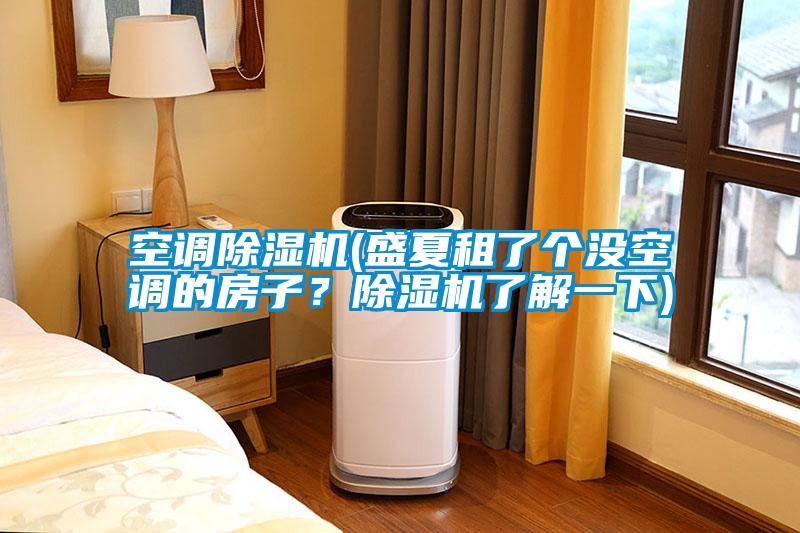 空調(diào)除濕機(jī)(盛夏租了個沒空調(diào)的房子？除濕機(jī)了解一下)