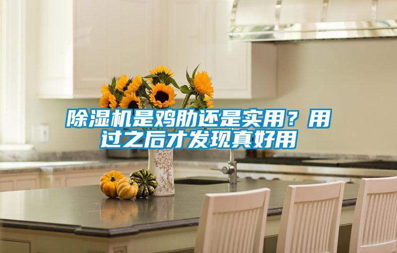 除濕機(jī)是雞肋還是實用？用過之后才發(fā)現(xiàn)真好用