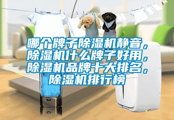 哪個牌子除濕機靜音，除濕機什么牌子好用，除濕機品牌十大排名，除濕機排行榜