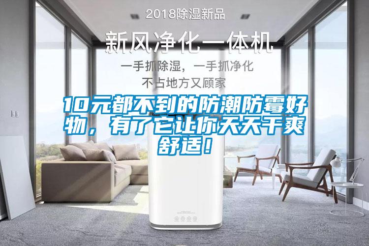 10元都不到的防潮防霉好物，有了它讓你天天干爽舒適！