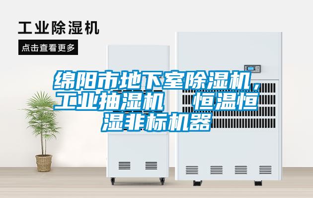 綿陽市地下室除濕機，工業(yè)抽濕機  恒溫恒濕非標機器