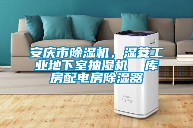 安慶市除濕機，濕菱工業(yè)地下室抽濕機  庫房配電房除濕器