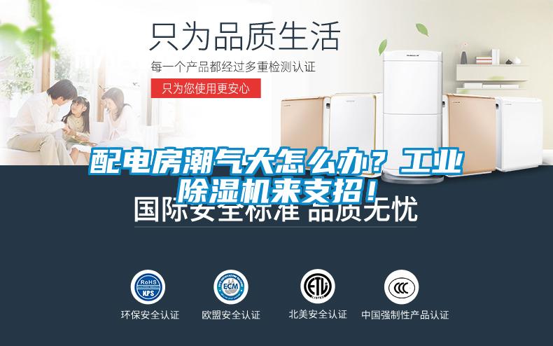配電房潮氣大怎么辦？工業(yè)除濕機來支招！