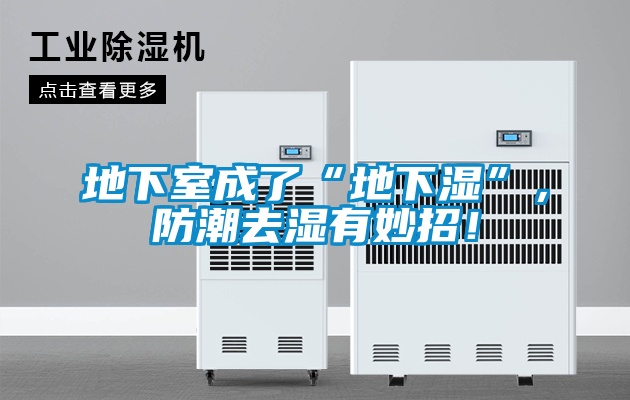 地下室成了“地下濕”，防潮去濕有妙招！