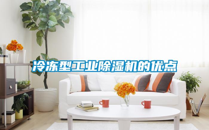 冷凍型工業(yè)除濕機(jī)的優(yōu)點