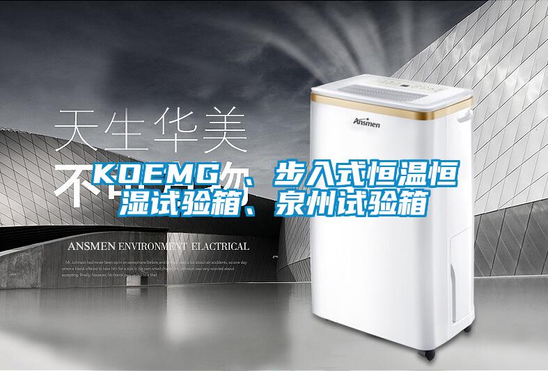 KOEMG 、步入式恒溫恒濕試驗(yàn)箱、泉州試驗(yàn)箱