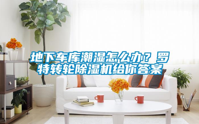 地下車庫潮濕怎么辦？羅特轉(zhuǎn)輪除濕機(jī)給你答案