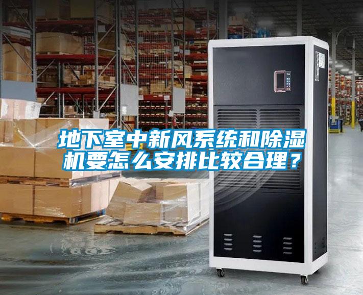 地下室中新風系統(tǒng)和除濕機要怎么安排比較合理？