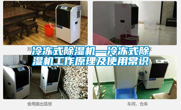 冷凍式除濕機(jī)—冷凍式除濕機(jī)工作原理及使用常識