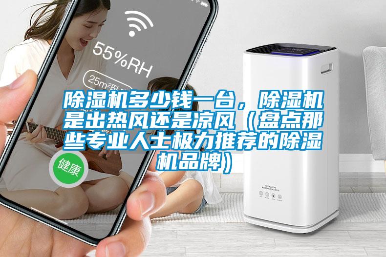除濕機(jī)多少錢一臺(tái)，除濕機(jī)是出熱風(fēng)還是涼風(fēng)（盤點(diǎn)那些專業(yè)人士極力推薦的除濕機(jī)品牌）