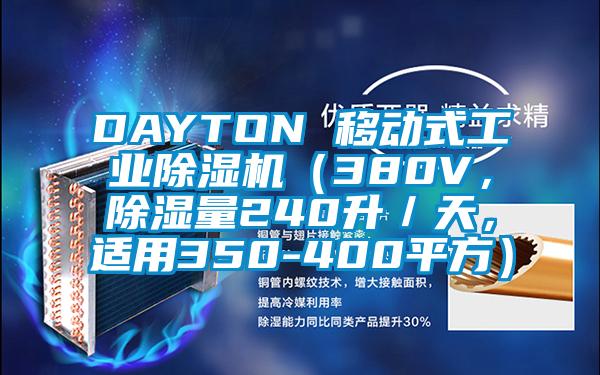 DAYTON 移動(dòng)式工業(yè)除濕機(jī)（380V，除濕量240升／天，適用350-400平方）