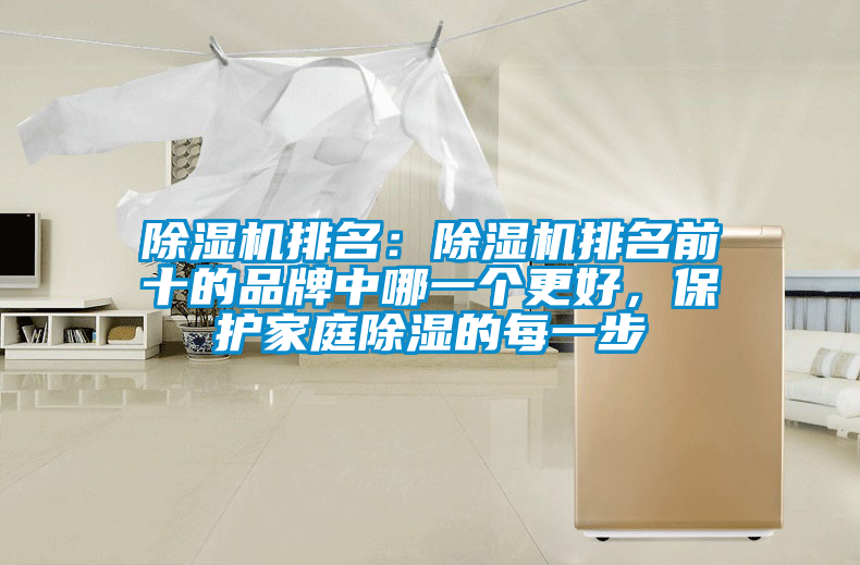 除濕機排名：除濕機排名前十的品牌中哪一個更好，保護家庭除濕的每一步