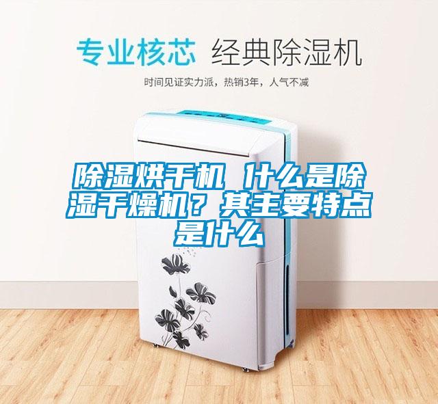 除濕烘干機 什么是除濕干燥機？其主要特點是什么