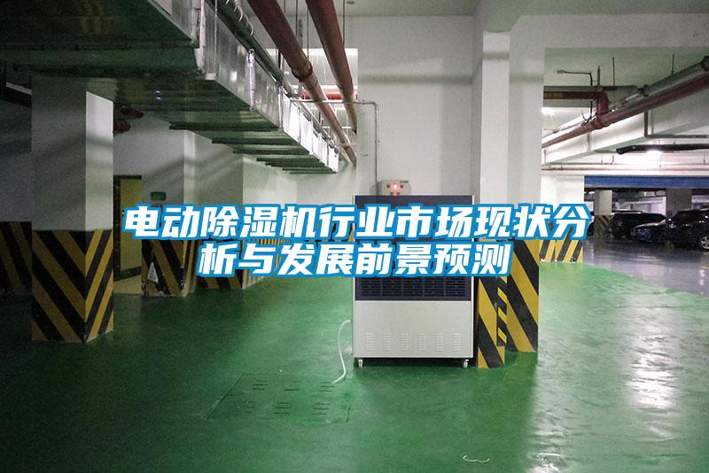 電動(dòng)除濕機(jī)行業(yè)市場現(xiàn)狀分析與發(fā)展前景預(yù)測