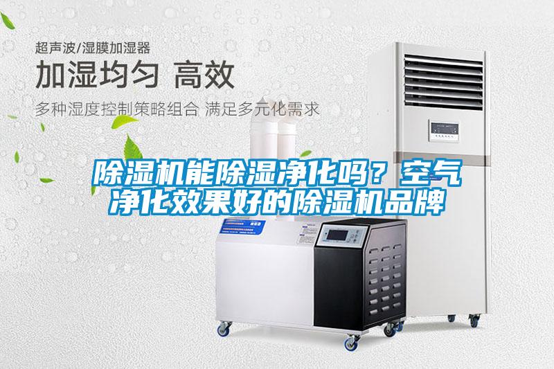 除濕機(jī)能除濕凈化嗎？空氣凈化效果好的除濕機(jī)品牌